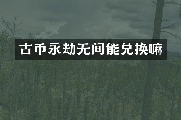 古币永劫无间能兑换嘛