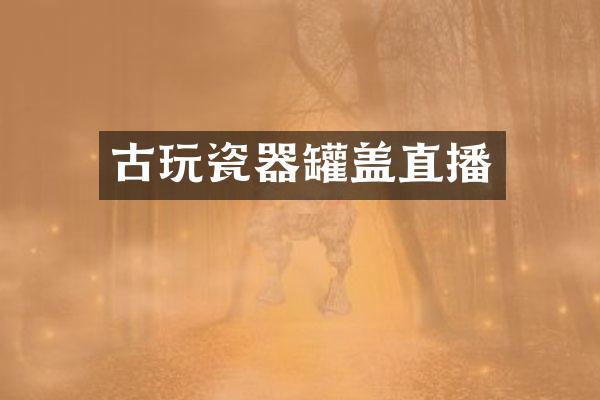 古玩瓷器罐盖直播