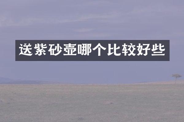 送紫砂壶哪个比较好些
