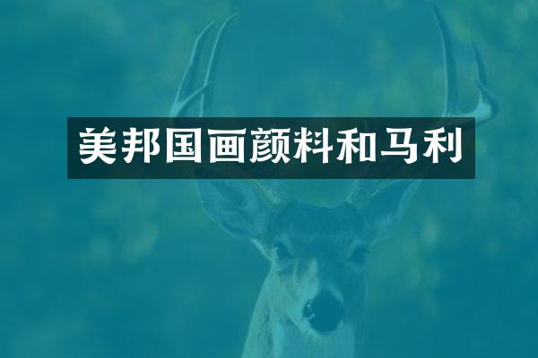 美邦国画颜料和马利