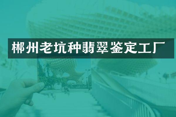 郴州老坑种翡翠鉴定工厂