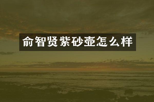 俞智贤紫砂壶怎么样