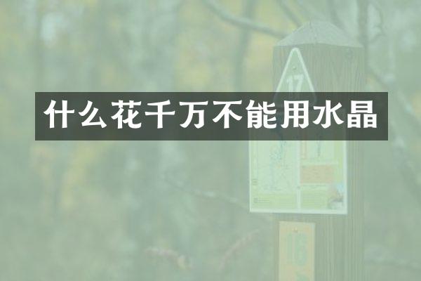 什么花千万不能用水晶