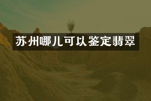 苏州哪儿可以鉴定翡翠