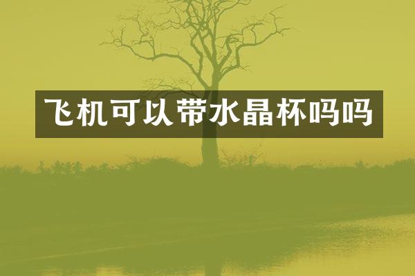 飞机可以带水晶杯吗吗
