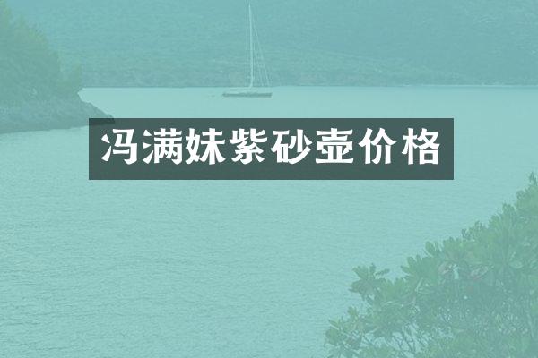 冯满妹紫砂壶价格