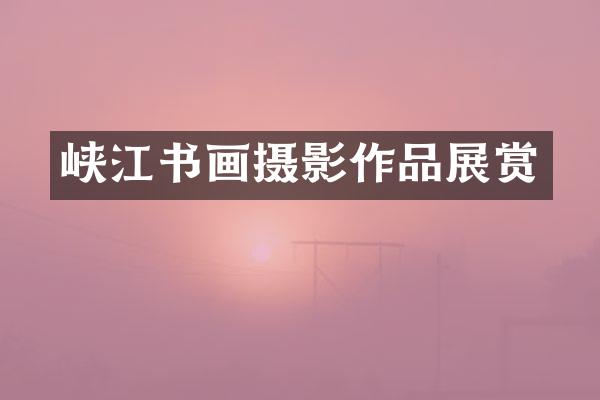 峡江书画摄影作品展赏