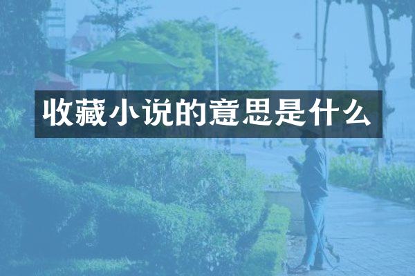收藏小说的意思是什么