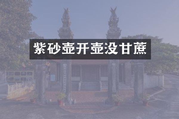 紫砂壶开壶没甘蔗