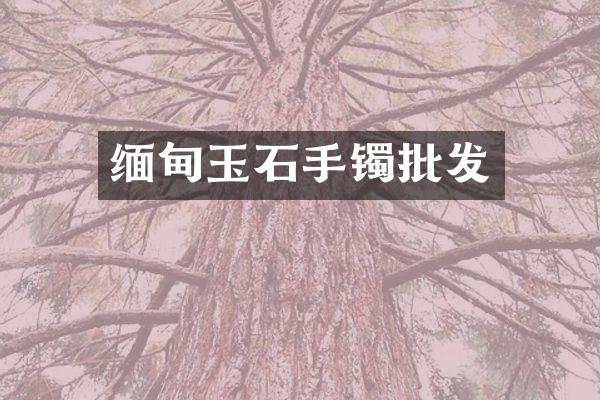 缅甸玉石手镯批发