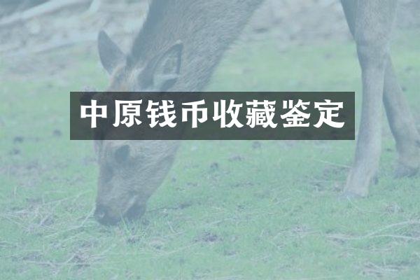 中原钱币收藏鉴定