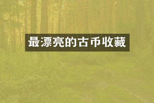最漂亮的古币收藏