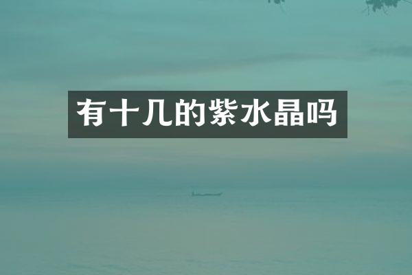 有十几的紫水晶吗