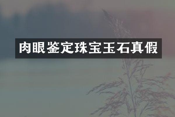 肉眼鉴定珠宝玉石真假