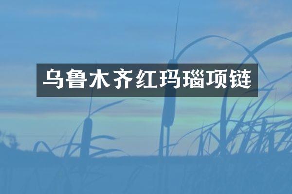 乌鲁木齐红玛瑙项链