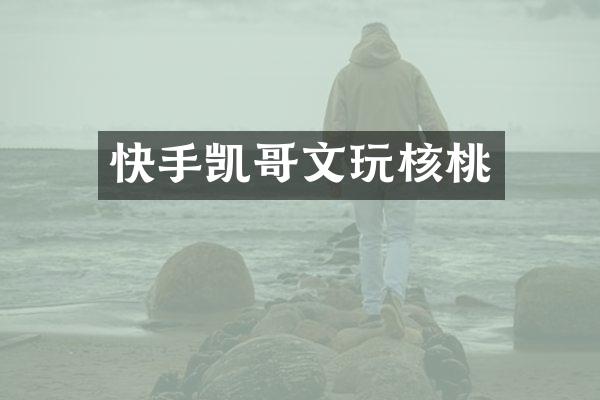 快手凯哥文玩核桃