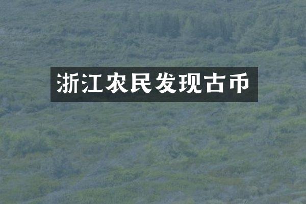 浙江农民发现古币