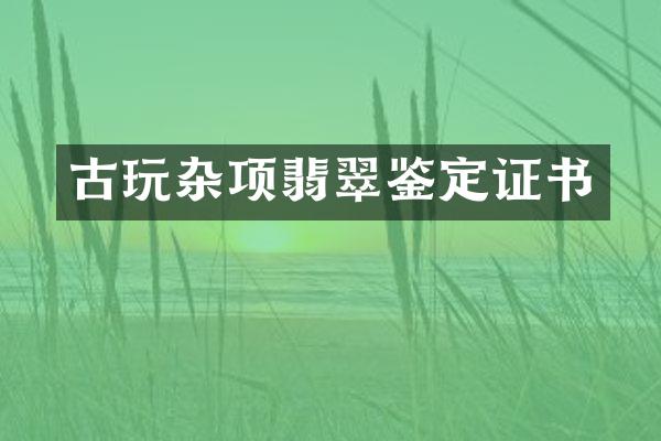 古玩杂项翡翠鉴定证书
