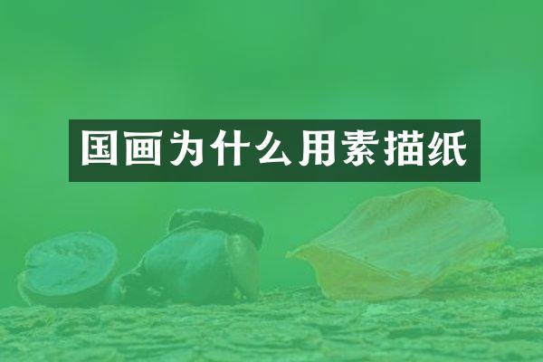 国画为什么用素描纸