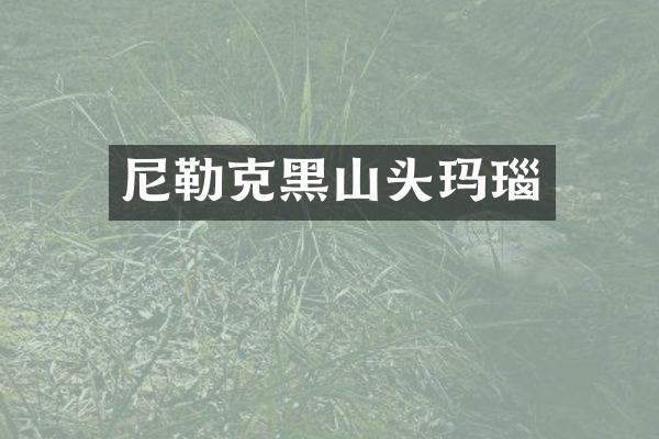 尼勒克黑山头玛瑙