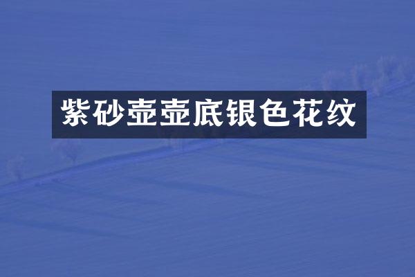 紫砂壶壶底银色花纹