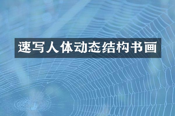 速写人体动态结构书画