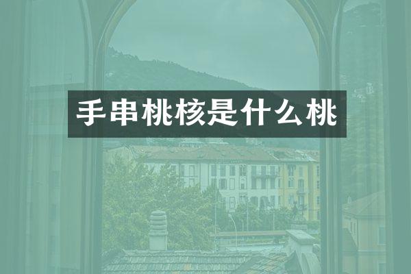 手串桃核是什么桃