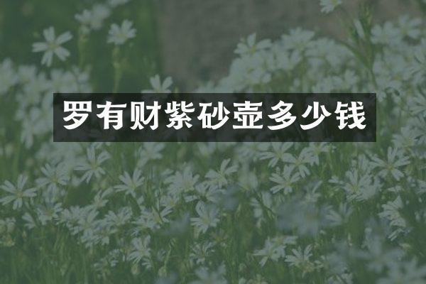 罗有财紫砂壶多少钱