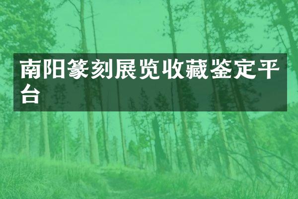 南阳篆刻展览收藏鉴定平台