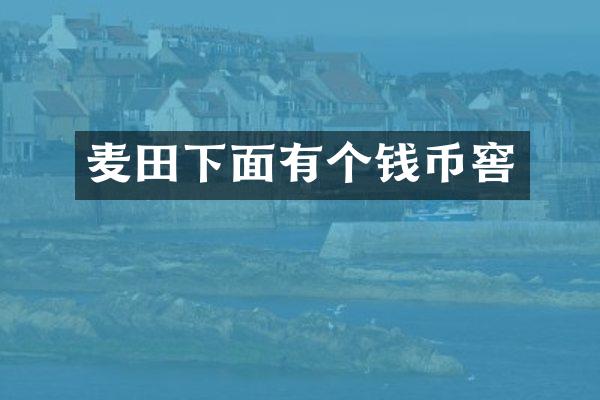 麦田下面有个钱币窖
