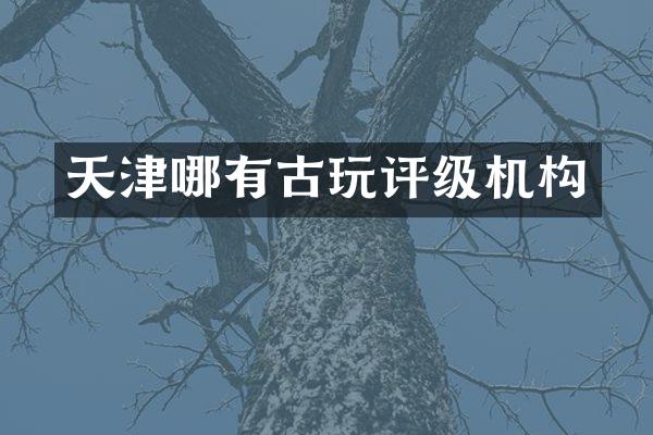 天津哪有古玩评级机构