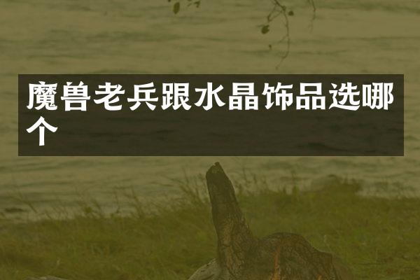 魔兽老兵跟水晶饰品选哪个