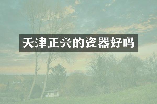天津正兴的瓷器好吗