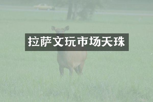 拉萨文玩市场天珠