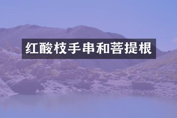 红酸枝手串和菩提根