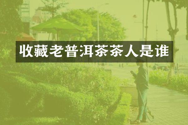 收藏老普洱茶茶人是谁