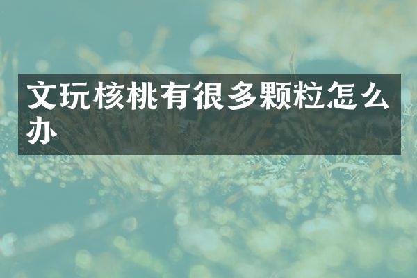 文玩核桃有很多颗粒怎么办