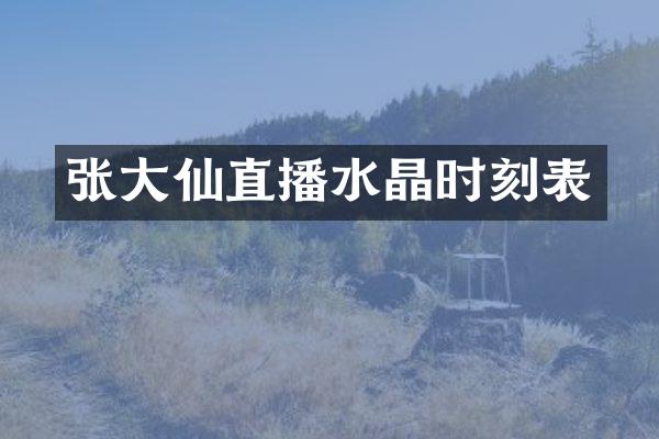 张大仙直播水晶时刻表