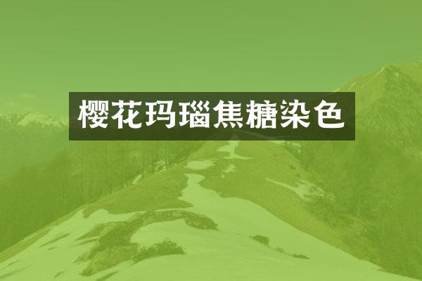 樱花玛瑙焦糖染色