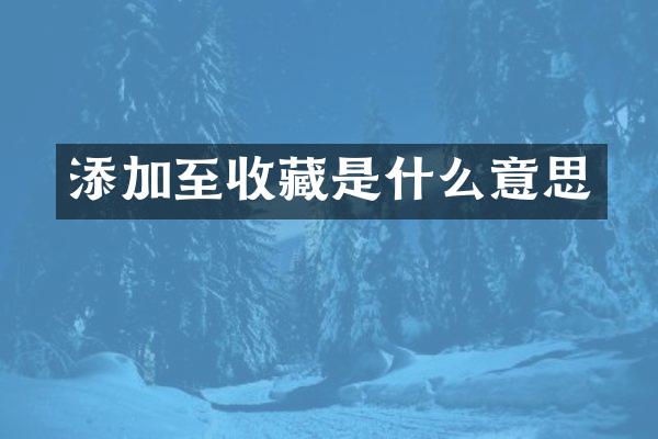 添加至收藏是什么意思