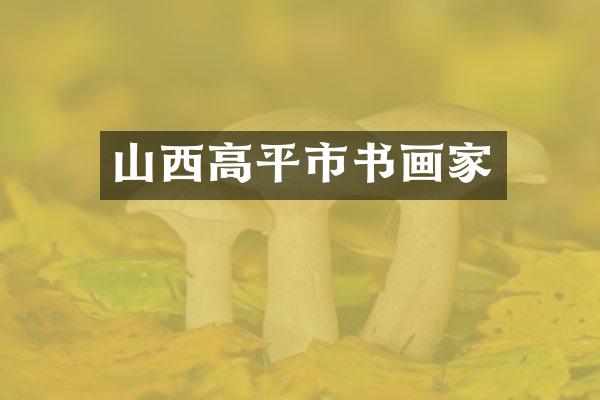 山西高平市书画家