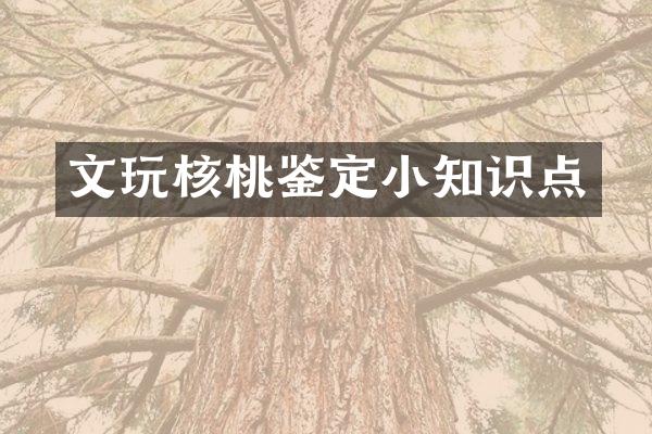 文玩核桃鉴定小知识点