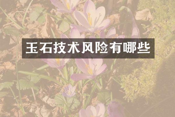 玉石技术风险有哪些