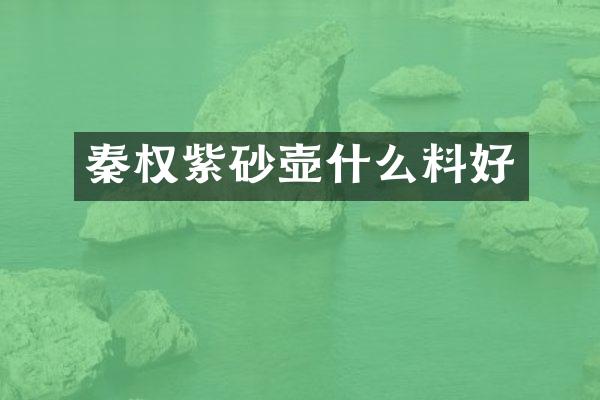 秦权紫砂壶什么料好