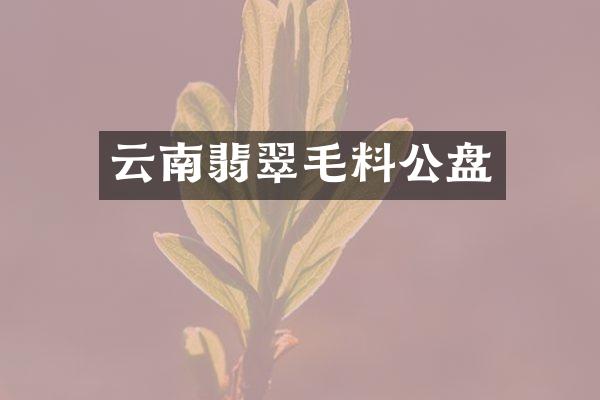 云南翡翠毛料公盘