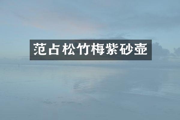 范占松竹梅紫砂壶