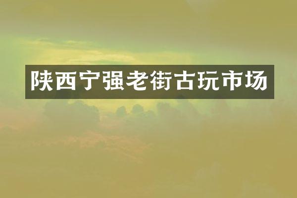 陕西宁强老街古玩市场