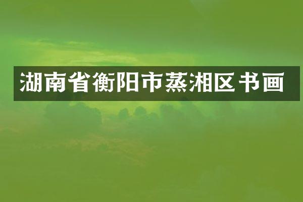 湖南省衡阳市蒸湘区书画