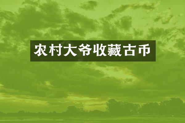 农村大爷收藏古币