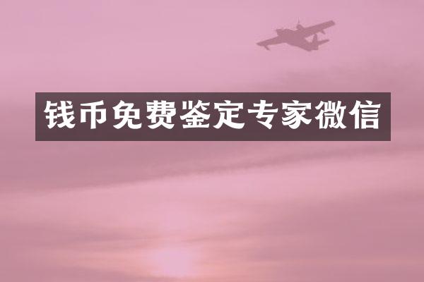 钱币免费鉴定专家微信
